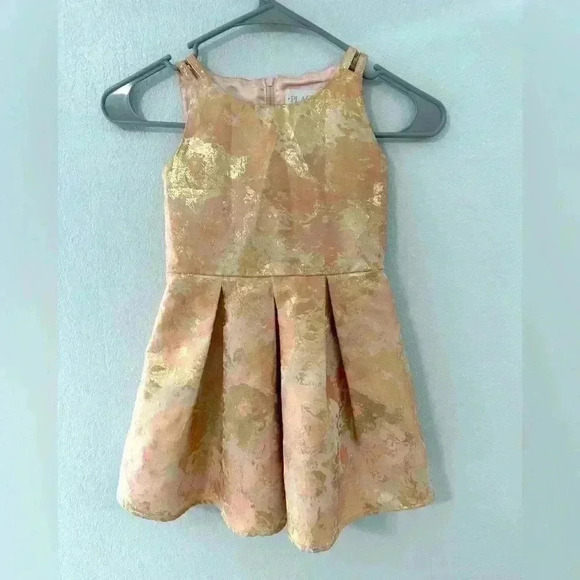 41. Children’s Place Formal Dress size 4t - Picture 1 of 4